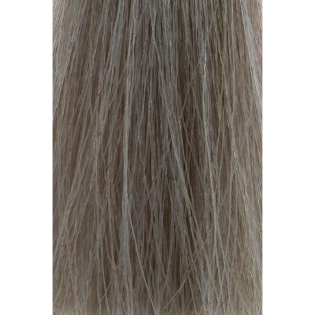 ETB Hair Professional Colorverse Special Blond – Professzionális Ammóniás Tartós Hajfesték 100ml - 100 ml / BB1 Hamvas
